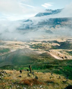 p09-070-Van der Werve-Nummer Twaalf