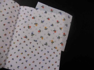 p15-140 - Van Golden - Apperception special edition 2000-2012