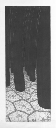 p14-112-Thijs Jager-Zt-Roos